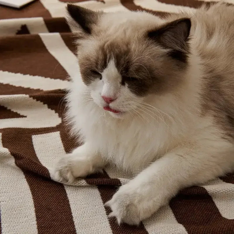 Pet Friendly Sofa Covers - TaroTextile