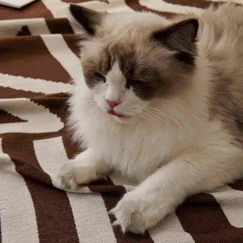 Pet Friendly Sofa Covers - TaroTextile