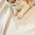Reversible Chenille Sofa Covers for Pets, Large Throw Blanket for Couch, Blanket on The Sofa