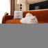 Solid Color Chenille Sofa Cover Blanket Furniture Covers for Sofas and Loveseats