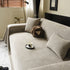 Waterproof Couch Throw Cover for Dogs, Non Slip Scratch Resistant Pet Couch Cover