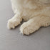 Waterproof Scratch Proof Sofa Protector Throw Blanket, Couch Cover for Pets & Kids
