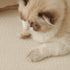 Luxurious Teddy Velvet Solid Sofa Towel - Non-Slip Waterproof Sofa Cover Furniture Protector and Pet Couch Cover
