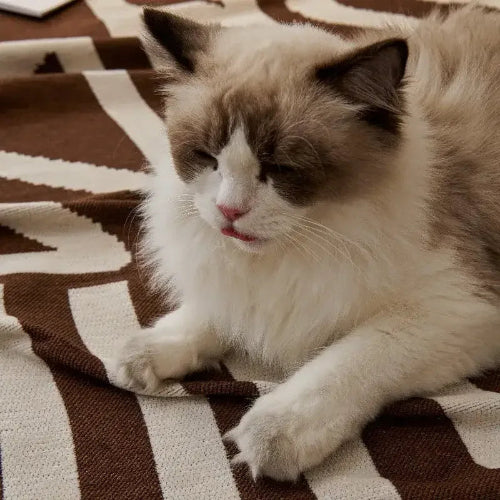 Durable Cushion Cover Anti-scratch Sofa Couch Cover Universal Sofa Blanket - TaroTextile