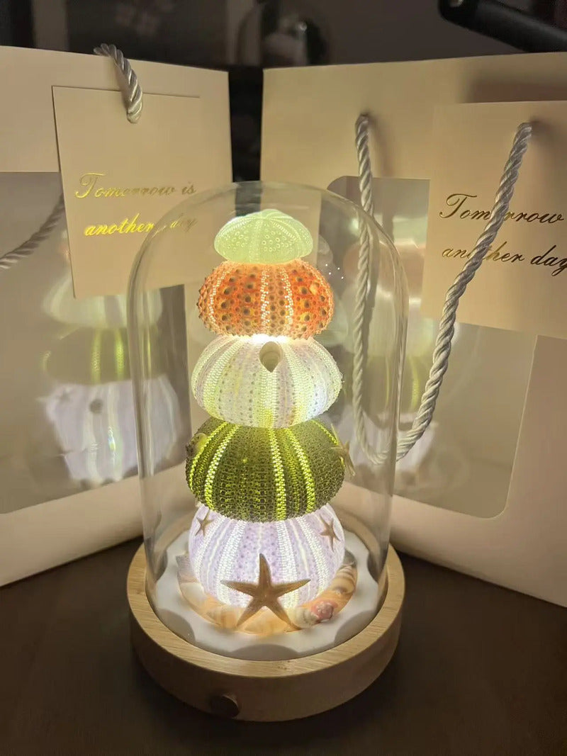 DIYcrafts Sea Urchin Shell Night Light