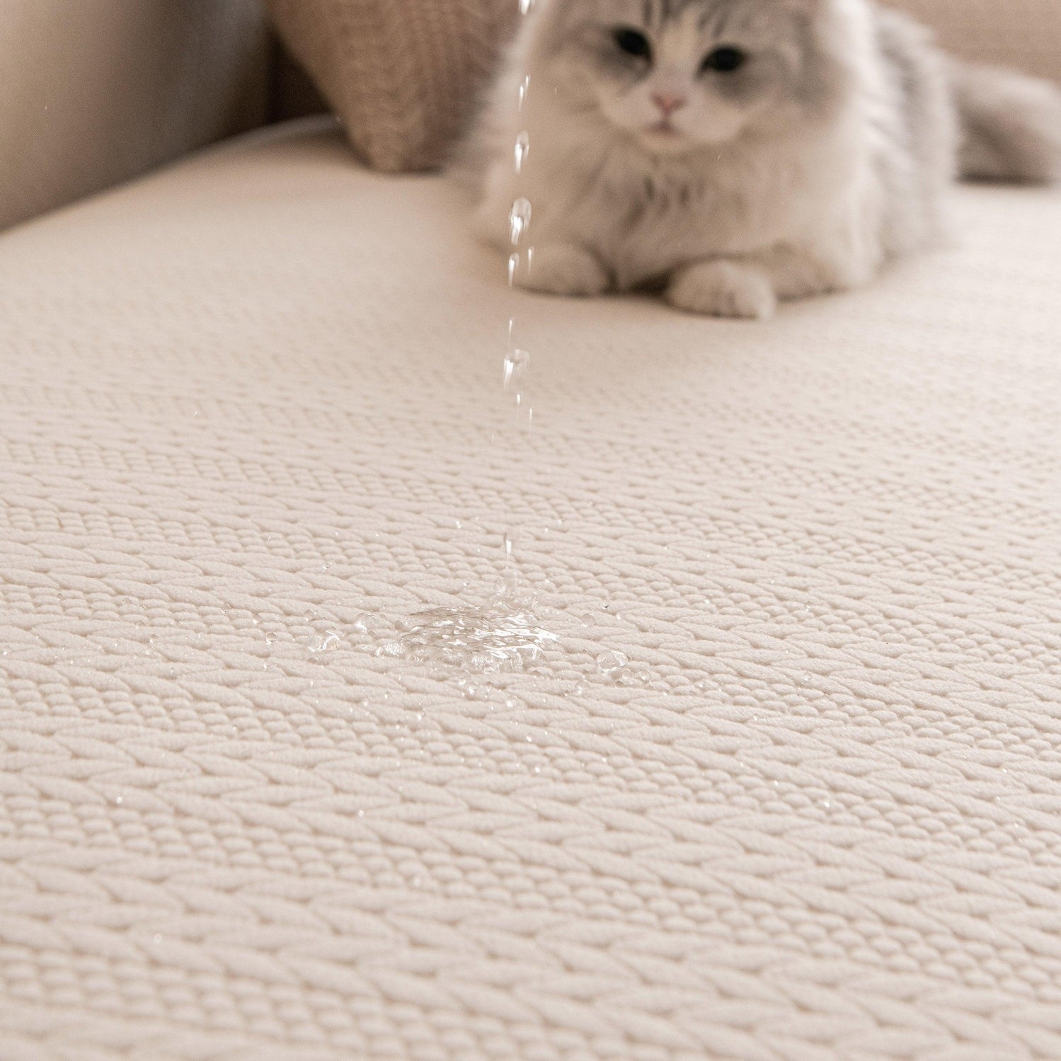 High Stretch Wheat Ear Embossed Textured Couch Slipcover, Water Repellent Sofa Cover - TaroTextile