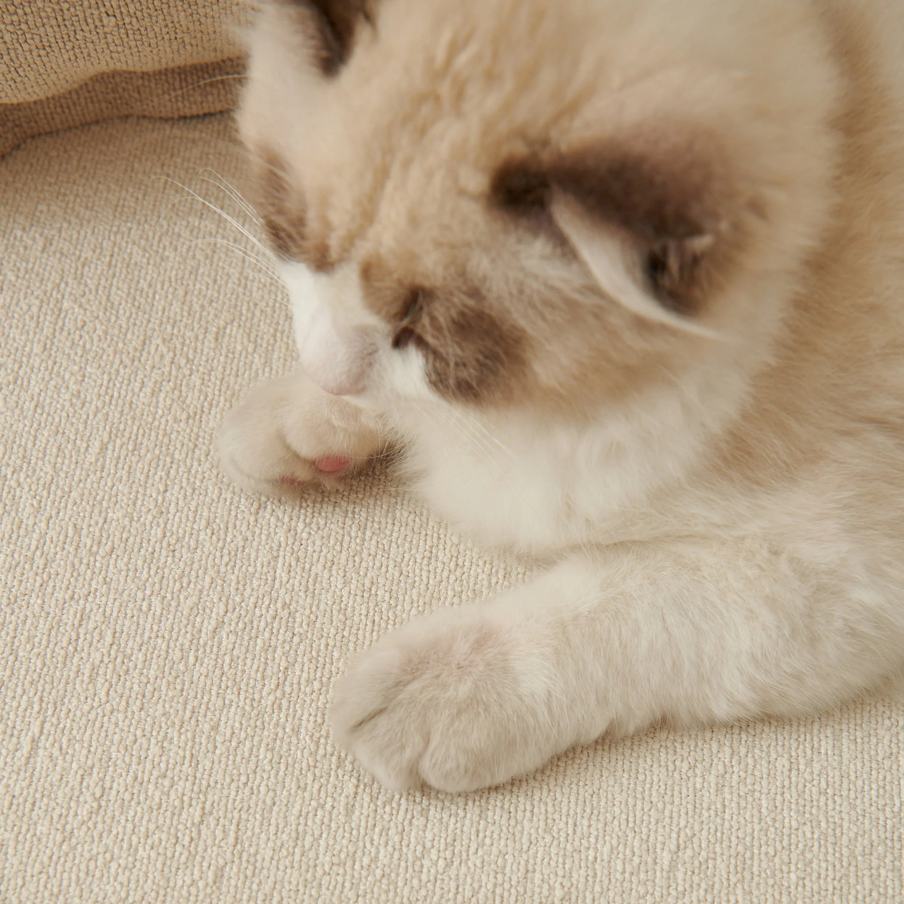 Luxurious Teddy Velvet Solid Sofa Towel - Non-Slip Waterproof Sofa Cover Furniture Protector and Pet Couch Cover - TaroTextile